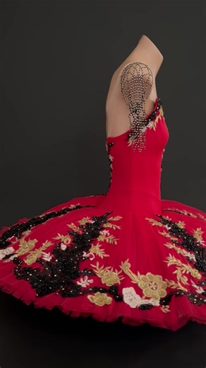 thebeautifuldancer on TikTok