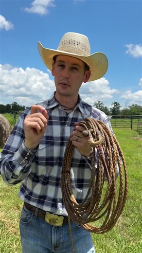 New video! #roping #ropinghorse #horsemanship #ranchhorse #cowboy