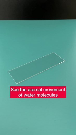 Exploring Brownian Motion in Biology: Microscopic Wonders