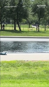 WATCH: Reflecting Pool REFILLED ahead of America's 250th birthday