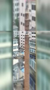 要钱不要命啊！这一年的工资都出来了，看着腿都软！_高清1080P在线观看平台_腾讯视频