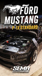 Adding 325 HP to your S650 2024-25 Mustang has never been easier!! 😱🐎ProCharger Superchargers system offers unmatched performance gains—boosting your Mustang’s HP by 325 screaming horse puppies on pump 93!! Did we mention that the legendary P-1X blower comes STANDARD…Designed for quick and easy installation using common tools, this kit comes with turnkey systems that include tuning for a hassle-free experience. ProCharger’s commitment to reliability means you get a setup that can handle 200,00