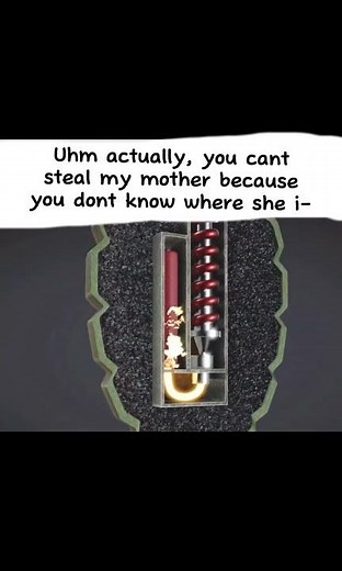 Freebird meme compilation #1