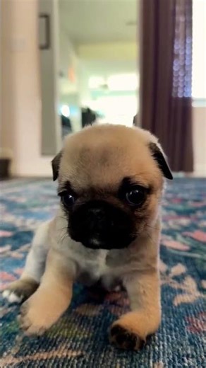 25 de fevereiro de 2026