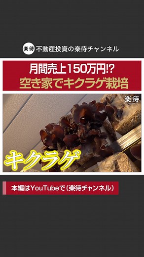 空き家を活用したキクラゲ栽培