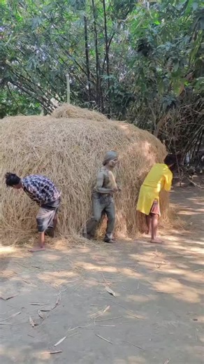 Exploring the Joys of Village Life and Fun Activities