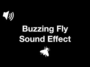 Buzzing Fly - Sound Effect [4K]