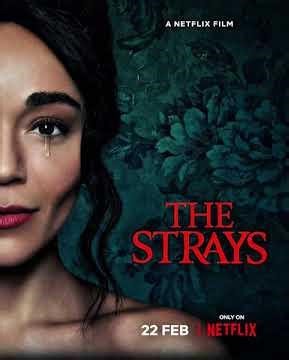 Excluídos (The Strays).