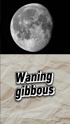 Different Phases of the Moon Explained 🌙 | Moon Cycle, Lunar Phases & Science for Students #shorts