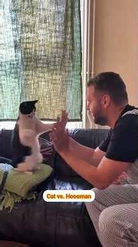 Funny Cats vs Humans 😹🐾