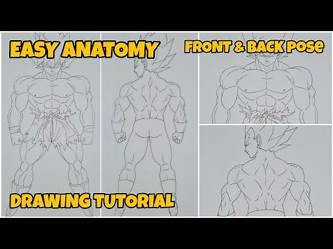 Easy Anatomy Drawing Tutorial | Full Body Front & Back Pose | 4K