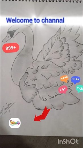 Elegant Swan Sketch 🦢 | Easy Pencil Drawing for Beginners
