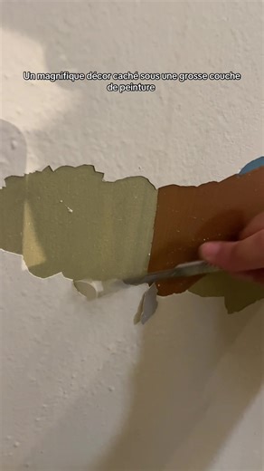 Magnifique Décor Caché Sous Peinture Découverte