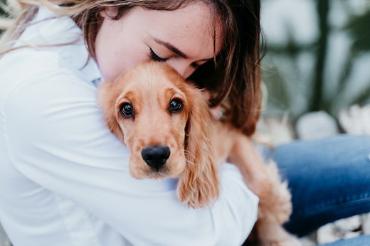 Animal Behaviorist Explains When to Be Concerned by Your Clingy Dog