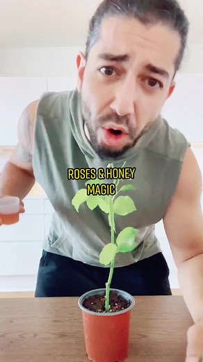 My 2nd Book is Officially Released! 🤯 #plants #rose #holidays #flower #planttiktok #plantsoftiktok #lifehacker #didyouknow #gardening #garden #magic