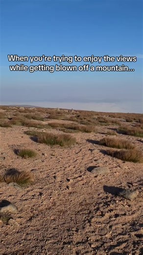 Joe and Bramble on TikTok