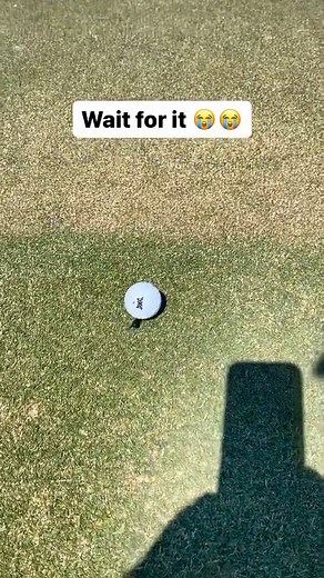 The hero we didn't know we needed 🪲 (🎥 @golferscotty/TT) | Golf on CBS