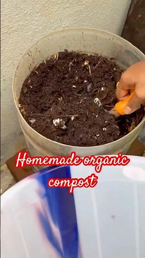 Home made organic compost after 45 days