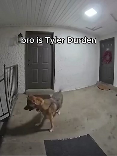 Exploring Tyler Durden Memes and Appearances