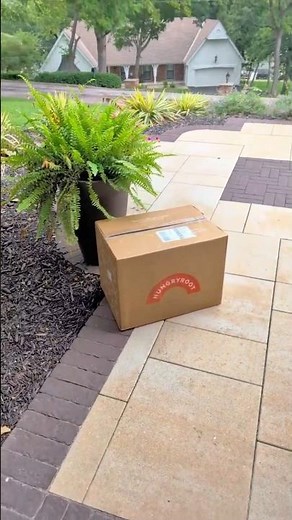 Hungryroot September 2025 Delivery