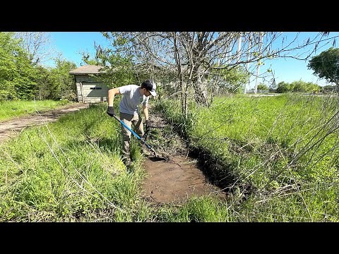 Age CAUGHT UP with the owner, leaving this yard UNTOUCHED for 5 YEARS