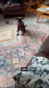 2.3K views · 165 reactions | *Please share this post!* Almost all of...