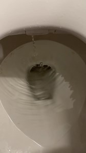 Big News! 🎉 Introducing the BB-550, our thinnest electric bidet yet! Experience luxury features without breaking the bank: • Unlimited Warm Water • Adjustable Heated Seat • Warm Air Dryer • Built-In Night Light Save up to $20 now during our Early Holiday Savings Event (limited time only)! Ready for a bathroom upgrade like no other? 💦 Treat yourself today and discover how water does it better! | BioBidet by Bemis