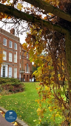 Take a stroll through the gorgeous #CastlePark with us this Autumn 🧡🍂 See the squirrels, wander through a #Colchester time-capsule full of fantastic historic buildings, and marvel at the beautiful flowerbeds, which are lovingly cared for - even during the colder months. In just a few short weeks, Castle Park will become a Christmas wonderland as ‘Enlightened: Castle Park’ (12-28 December) lights up the night. While we still have the golden leaves, we’re making the most of the quiet moments bef