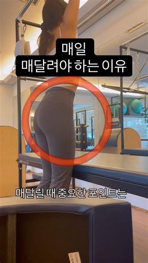 하루에 30초만 투자하면..! #필라테스강사 #매달리기