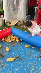 19K views · 42 reactions | tik tok | cartoon cartoon | gana | #tiktok | #viral | #shortsvstiktok | #youtubeshorts | Maikal YT | Facebook