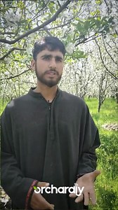 11K views · 100 reactions | Our Orchardly team recently spent time on...