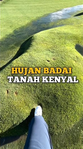 A Thunderstorm Turns Golf Courses Rich in Jelly ⁉️