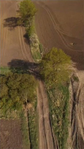 It happened so fast... 💀 FPV #fpvcrash #fail #fpv