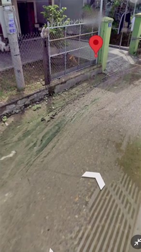 Explore Live Cameras Around the World