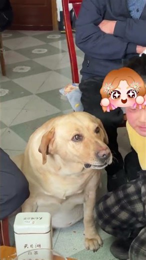 Awww! Relative's Kid Gives the Best Facial Massage