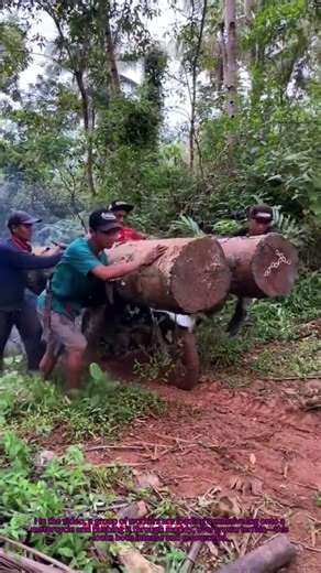 Mountain Log Hauling: Safety Tip for Motorcycle Transport!