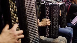 The musician playing the accordion. Close-up, musicians playing the accordion. Group of musicians playing the accordion