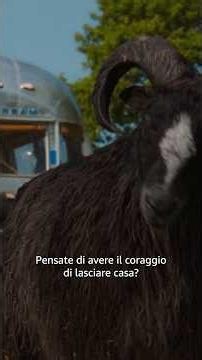 Una sfida decisamente sottovalutata 😅 | Pecore sotto copertura