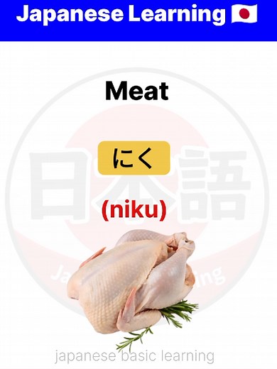Understanding the Importance of Japanese Language Basics