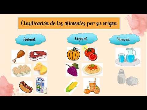 La clasificación de los alimentos por su origen