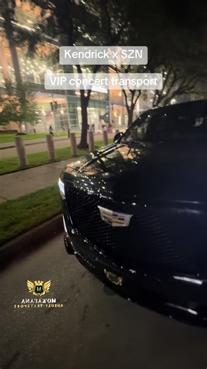 VIP Concert Transport with Luxury Limousine Service
