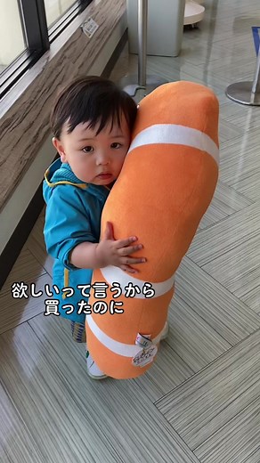 帰ってからも見向きもしません😂チンアナゴ抱き枕🐟かわいいのに🐟#1歳 #1歳4ヶ月