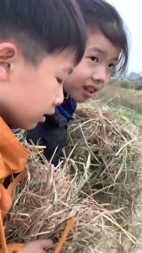 Mold them into rafts to make them crumble, just to tease your friends.