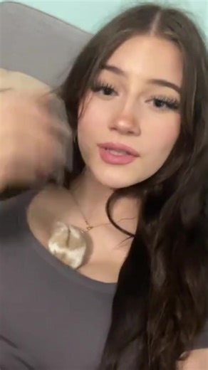 Divertido Meme de Hamster: ¡Baila con nosotros!