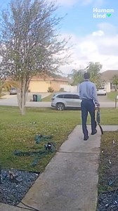 203K views · 7.4K reactions | This dad was in full work mode until a tiny voice hit him with a plot twist. #humankind | Milwaukee Journal Sentinel | Facebook