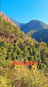 Mussoorie || Uttarakhand #shorts #youtubeshorts