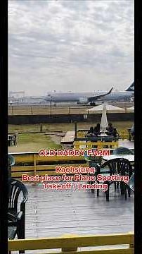 OLD DADDY FARM #shortsvideo #taiwan #airport