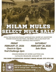 Milam Mules has been buying and selling mules right here in Southeast Missouri for generations. For years, people have said, “Brock, why don’t you have your own mule sale and invite sellers from all over the United States?” We’ve given it a lot of thought… and 2026 is the year we make it happen. Even better, we’re keeping this sale on the very same soil where our ancestors traded mules back in the 1920s and 1930s. That history matters to us. This sale isn’t just business, it’s legacy, heart, and