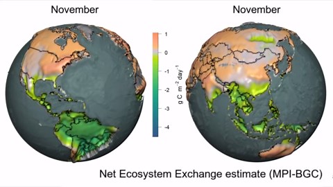 Earth's annual CO2 levels