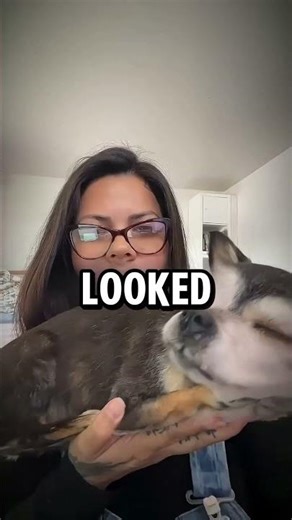 This Video Made Everyone Uncomfortable